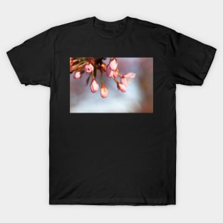 Cherry Tree Buds T-Shirt